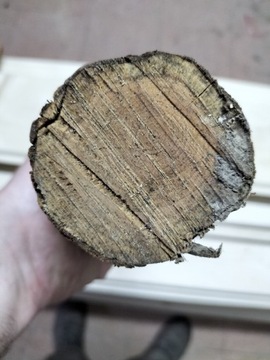 Kawałek drewna cis