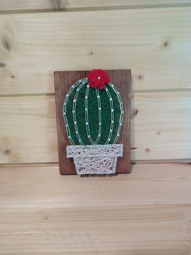 Obraz string art -Kaktus