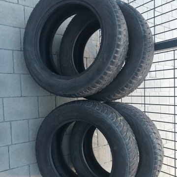 Opony NOKIAN WR D3 175/65R15 2017