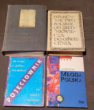 4 książki polska literaturą, historia literatury