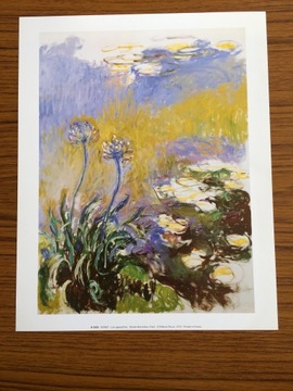 Reprodukcja obrazu Monet’a Les agapanthes