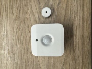 Philips Hue Motion Sensor