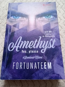 Ametyst ( Kamienie Miami) t.2- Fortunateem 