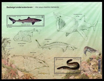 Belgia 2024 - EUROPA CEPT, podwodna flora i fauna  