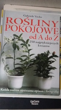 Rośliny pokojowe opracowanie