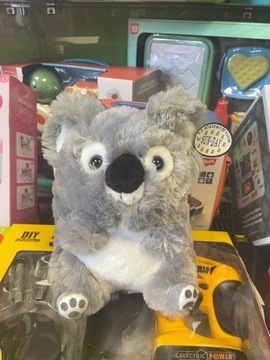 Pluszowy Koala    