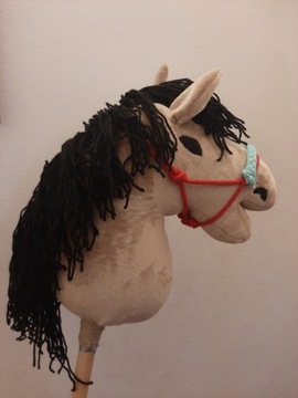 hobby horse