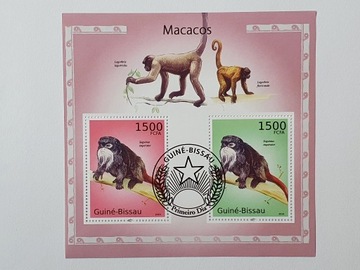 (1701) blok małpy
