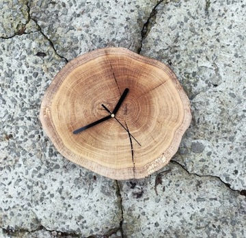 Piękny zegar z plastra dębowego z korą  dąb drewno