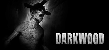 Darkwood PL klucz STEAM bez VPN SZYBKO bez VPN