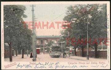 POZNAŃ Posen Tiergarten Strasse zoo tramwaj 1900