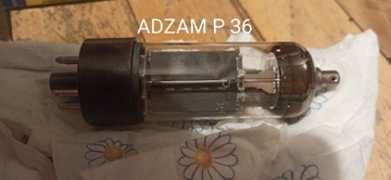 Lampa elektronowa ADZAM P36 