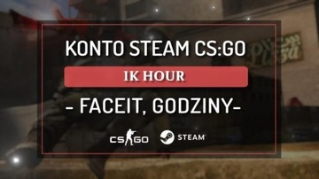 KONTO STEAM Z CS:GO | CS2 1000 HOUR FACEIT GODZINY