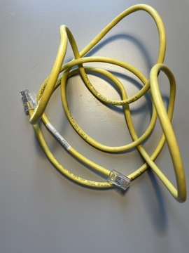 Kabel sieciowy - Ethernet - 170 cm 