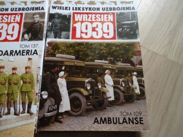 Wielki Leksykon Uzbrojenia 109 Ambulanse . 