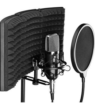 Microphone isolation shield
