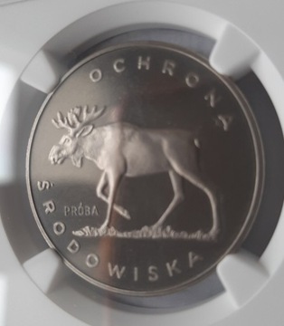 100 zł ŁOŚ z 1978 r próba nikiel NGC Maxx