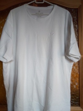 Koszulka T-shirt  męska Pierre Cardin