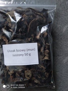 Uszak bzowy (mun) suszony 50 g