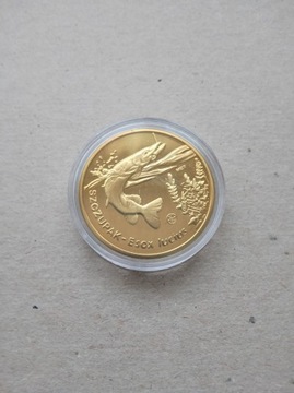 Szczupak- 10 złotych rybek - Ryby Polskich Akwenów