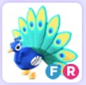 Roblox Adopt me FR Peacock