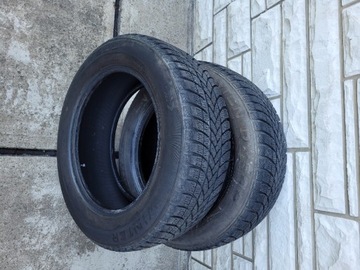 Opona zimowa DAYTON DW500 195/60R15