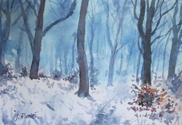 Zimowy  las  
