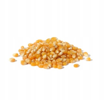 Popcorn kukurydza ziarno 2kg