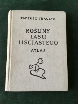 Rośliny lasu liściastego Tadeusza Traczyk. Atlas