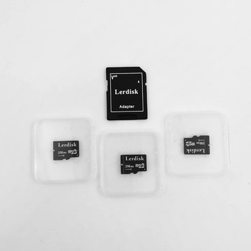 Lerdisk karta pamięci micro SD 256 MB 3 sztuki