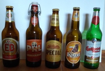 Butelki od piwa z całego świata 24 sztuki