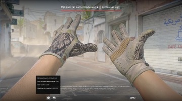 Skin CS2 Rękawiczki samochodowe Królewski wąż