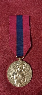 Armee Nation Defense Nationale Medaille - Francja