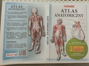 Atlas anatomiczny  