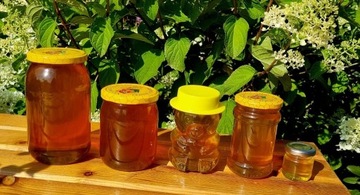 Naturalny miód pszczeli LIPOWY
