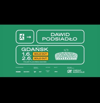 Bilet na koncert Dawida Podsiadło 1.06. Gdańsk 