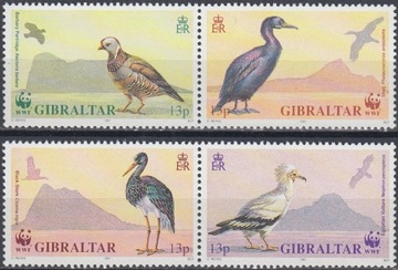 Fauna ptaki 619 -22**