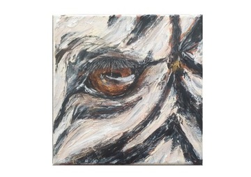 Obraz ręcznie malowany zebra 20x20 cm oko