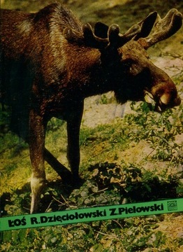 Łoś - Dzięciołowski, Pielowski