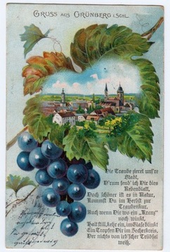 ZIELONA GÓRA Grunberg Panorama winogrona 1900