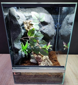 Terrarium dla gekona żaby 30x30x40 