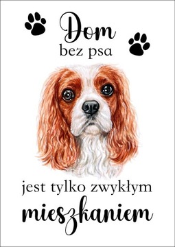 Plakat Dom bez psa jest tylko zwykłym mieszkaniem