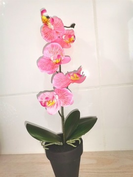 Storczyk, Orchidea różowy stuczny 35 cm, Nowy
