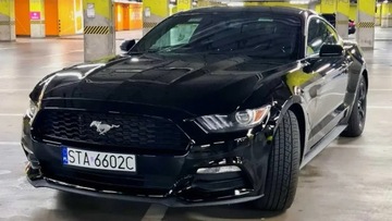 Ford MUSTANG wynajem wypożyczalnia 24h