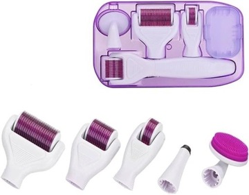 6 w 1 zestaw derma roller