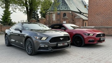 Auto do ślubu, ford Mustang, wynajem auta samochód