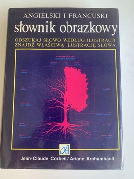 Słownik obrazkowy ANGIELSKI I FRANCUSKI