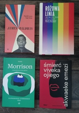 4 książki LGBTQ - Baldwin/Morrison/Gevisser/Emezi