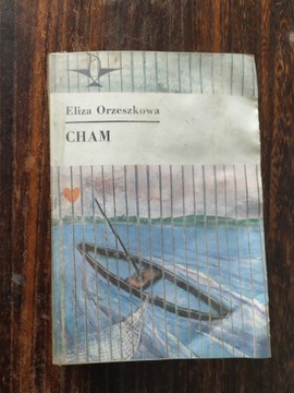 Książka Eliza Orzeszkowa CHAM  