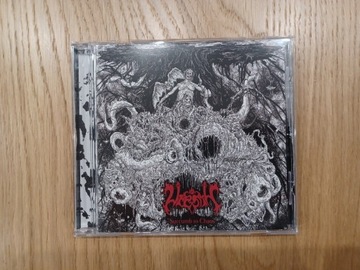 VRENTH - Succumb to Chaos - CD